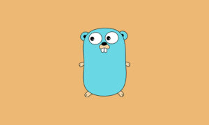 how to install go on ubuntu 20.04